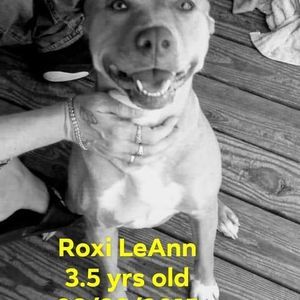 Meet your Posher, Kristie